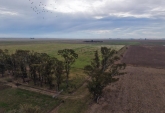 Campos - Tortugas - Venta