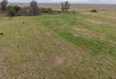 Campos - Tortugas - Venta