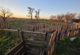 Campos - Tortugas - Venta