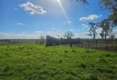Campos - Tortugas - Venta