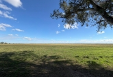 Campos - Tortugas - Venta