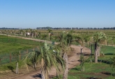 Terrenos - Ibarlucea - Venta