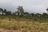 Campos - Otra Ciudad - Venta