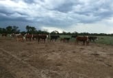 Campos - Otra Ciudad - Venta