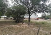 Campos - Otra Ciudad - Venta