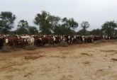 Campos - Otra Ciudad - Venta