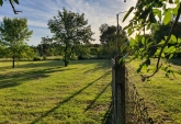 Terrenos - Funes - Venta