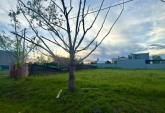 Terrenos - Roldan - Venta